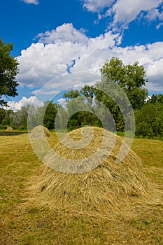 Haystacks in forest