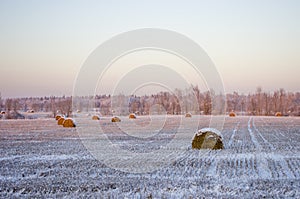 Haystacks on the frozen field