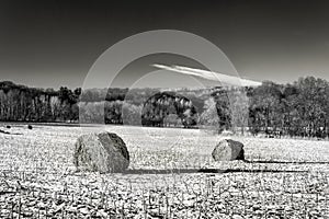 Haystacks on the Frozen Field in Black and White