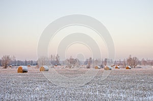 Haystacks on the frozen field