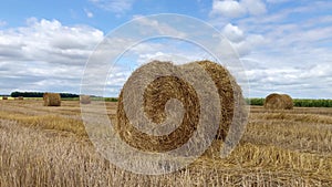 Haystacks lie on the field. Rural field in summer with bales of hay, tracking shot. Harvest.