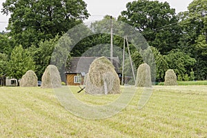 Haystacks on a meadow