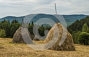 Haystacks in the mountains.