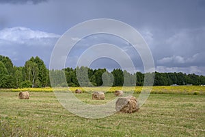 Haystacks on a mown field under thunderclouds