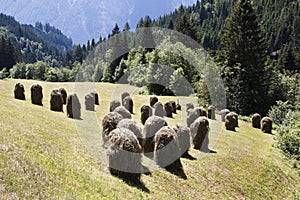 Haystacks in Pustertal, Tyrol, Austria