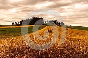 Haystacks in wheat fields, under stormy skies, Stevenson Trail, Haute Loire, France