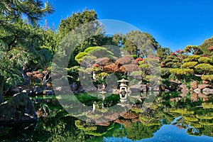 Hayward California Japanese Garden pond photo