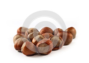 Hazel nuts