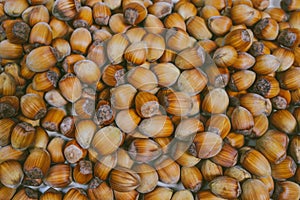 Hazel nuts