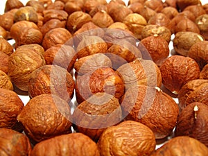 Hazel nuts
