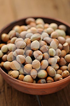Hazel nuts in clay bowl