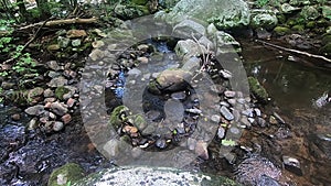 Hazel river, Shenandoah Virginia - shallow water and rocks from above