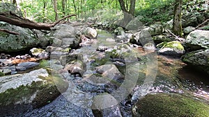 Hazel River, Shenandoah Virginia - Wide Shot looking Down River