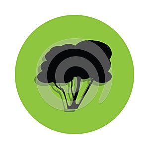 hazel tree in green badge icon