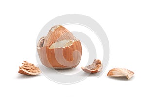 Hazelnut