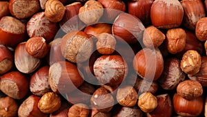 hazelnut background