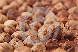 Hazelnut background. Pile of selected hazel close-up.