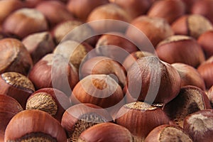 Hazelnut background. Pile of selected hazel close-up.