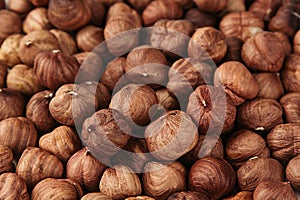 Hazelnut background. Pile of selected hazel close-up.