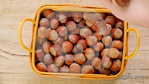 Hazelnut basket. Hand pouring nuts into the basket on a wooden table.Farmed organic ripe hazelnuts