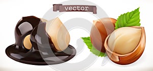 Hazelnut in chocolate. 3d realistic vector icon