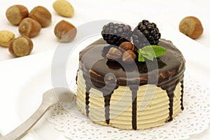 Hazelnut and chocolate cake