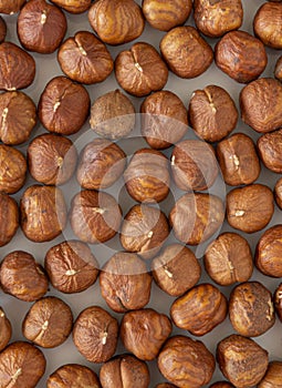 Hazelnut cluster. Hazelnut on the white background