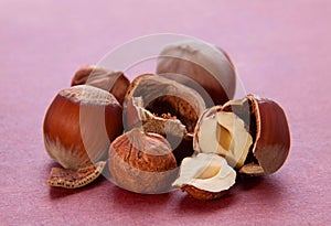 Hazelnut cracked