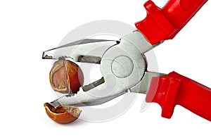 Hazelnut and cracker