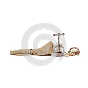 Hazelnut cracker isolated on white