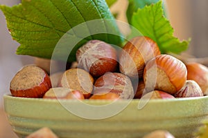 hazelnut harvest.Hazelnuts in a round green bowl . Farmed organic ripe hazelnuts. Nut abundance.Organic bio nuts