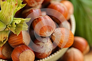 hazelnut harvest.Hazelnuts in a round green bowl with green leaves close-up on a wooden table. Farmed organic hazelnuts