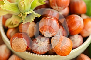 hazelnut harvest.Hazelnuts in a round green bowl with green leaves close-up on a wooden table. Farmed organic ripe