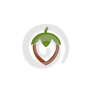 Hazelnut icon isolated on white background