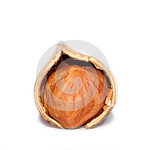 Hazelnut kernel in cracked shell