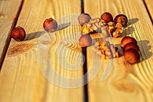 Hazelnut lies on a wooden background of large nuts