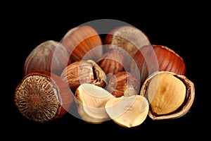Hazelnut nut closeup on black