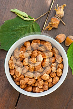 Fresh homegrown hazelnuts in september photo