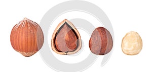 Hazelnut nut isolated on white background. Walnut kernels close up.