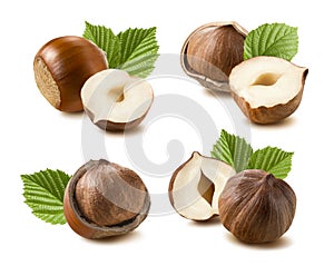 Hazelnut nut leaf set isolated on white background 7