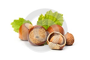 Hazelnut nut many leaves isolated on a white background as a packaging design element