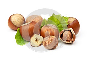 Hazelnut nut many leaves isolated on a white background as a packaging design element