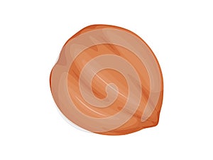 Hazelnut. Nuts in shell. Healthy and vegetarian foosd.