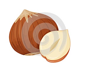 Hazelnut. Nuts in shell. Healthy and vegetarian foosd.