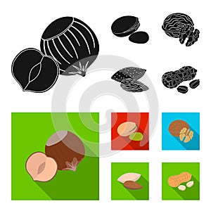 Hazelnut, pistachios, walnut, almonds.Different kinds of nuts set collection icons in black, flat style vector symbol