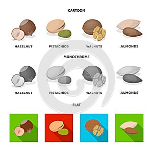 Hazelnut, pistachios, walnut, almonds. Different kinds of nuts set collection icons in cartoon, flat, monochrome style