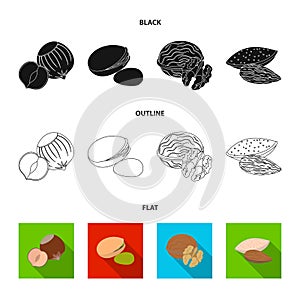 Hazelnut, pistachios, walnut, almonds.Different kinds of nuts set collection icons in cartoon style vector symbol stock