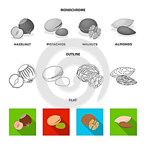 Hazelnut, pistachios, walnut, almonds.Different kinds of nuts set collection icons in flat,outline,monochrome style