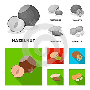 Hazelnut, pistachios, walnut, almonds.Different kinds of nuts set collection icons in monochrome,flat style vector