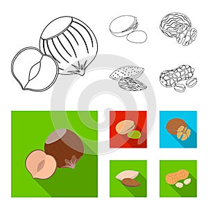 Hazelnut, pistachios, walnut, almonds.Different kinds of nuts set collection icons in outline,flat style vector symbol